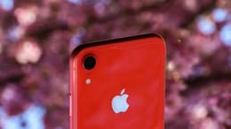 iPhone XR: un’analisi dettagliata della fotocamera