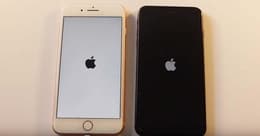 iPhone 7 vs iPhone 7 plus : Quale Comprare ?