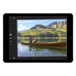 iPad Air (2014) 2a generazione 16 Go - WiFi - Argento