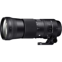 Obiettivi Sigma F 150-600mm f/5-6.3 DG CA OS HSM C Canon EF 150-600mm f/5-6.3