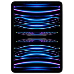 iPad Pro 11" (2022) 4a generazione 2000 GB - WiFi - Argento