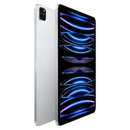 iPad Pro 11" (2022) 4a generazione 2000 GB - WiFi - Argento