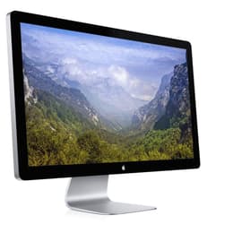 Schermo 24" LCD Apple EMC2263