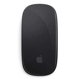 Magic mouse 2 Wireless - Grigio Siderale