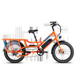 Rad Power Bikes radwagon 4 Bici elettriche