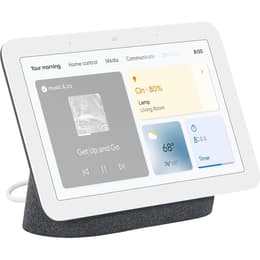 Altoparlanti Google Nest Hub 2 - Grigio