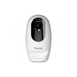 Pawbo Plus Webcam