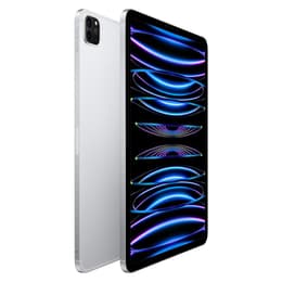 iPad Pro 11" (2022) 4a generazione 256 GB - WiFi + 5G - Argento