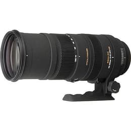 Sigma Obiettivi 150-500mm 1:5-6.3 DG OS HSM NIKON 150-500mm f/5-6.3