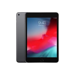 iPad mini (2019) 5a generazione 256 Go - WiFi - Grigio Siderale