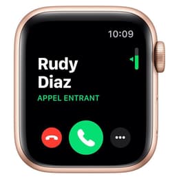 Apple Watch (Series 5) 2019 GPS + Cellular 40 mm - Acciaio inossidabile Oro - Cinturino Sport Rosa