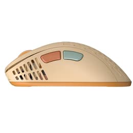 Pulsar Xlite V2 Wireless (Size 2) Medium Mouse senza fili