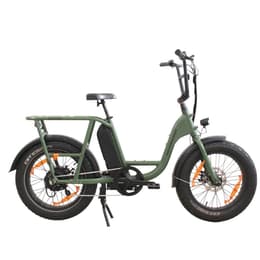 Rad Power Bikes RadRunner Bici elettriche