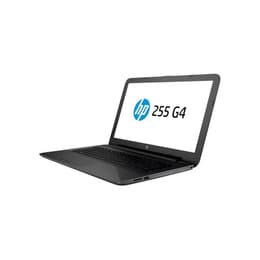 HP 255 G4 15" E1 1.4 GHz - HDD 500 GB - 4GB Tastiera Francese