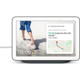 Google Nest Hub Charcoal GA00515 Oggetti connessi