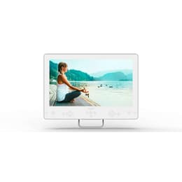 TV Pollici Philips LCD 19HFL5214W/12