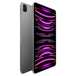 iPad Pro 11" (2022) 4a generazione 1000 GB - WiFi + 5G - Grigio Siderale