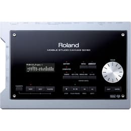 Roland SD-50 Accessori audio