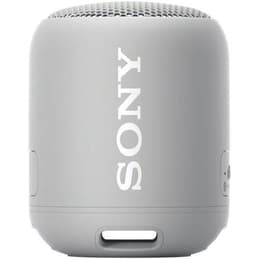 Altoparlanti Bluetooth Sony SRS-XB12 - Grigio