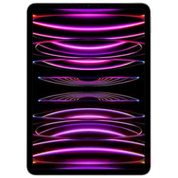 iPad Pro 11 (2022) 4a generazione 256 GB - WiFi - Grigio Siderale