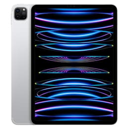 iPad Pro 11" (2022) 4a generazione 2000 GB - WiFi + 5G - Argento