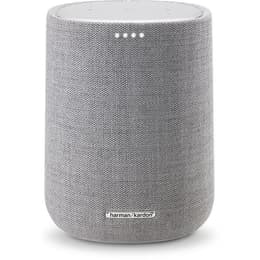 Altoparlanti Bluetooth Harman/Kardon Citation ONE MKIII - Grigio