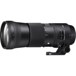 Sigma Obiettivi 150-600 mm F5-6.3 DG OS HSM 150-600mm F/5-6.3