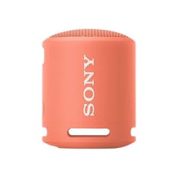 Altoparlanti Bluetooth Sony SRS-XB13 - Rosa