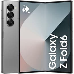 Galaxy Z Fold6 1000GB - Argento