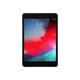 iPad mini (2019) 5a generazione 256 GB - WiFi + 4G - Grigio Siderale