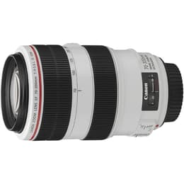 Obiettivi CANON EF 70-300mm f/4-5.6L IS USM Canon EF 70-300mm f/4-5.6