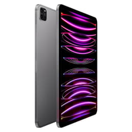 iPad Pro 11 (2022) 4a generazione 256 GB - WiFi + 5G - Grigio Siderale
