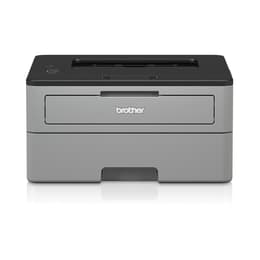 Brother HL-L2310D Laser monocromatico