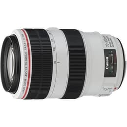 Obiettivi Canon EF 70-300mm f/4-5.6 EF 70-300mm f/4-5.6