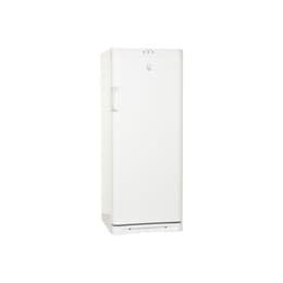 Armadio congelatore Indesit UFAAN 300