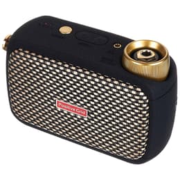 Altoparlanti Bluetooth Positive Grid Spark Go - Nero