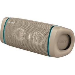 Altoparlanti Bluetooth Sony SRS-XB33 - Grigio