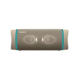 Altoparlanti Bluetooth Sony SRS-XB33 - Grigio