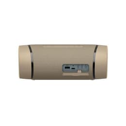 Altoparlanti Bluetooth Sony SRS-XB33 - Grigio