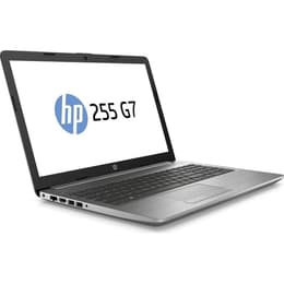 HP 255 G7 15" Ryzen 5 2.1 GHz - SSD 256 GB - 8GB - AZERTY - Francese
