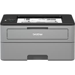 Brother HL-L2350DW Laser monocromatico