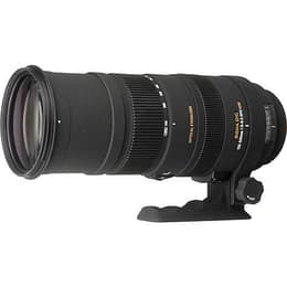 Sigma Obiettivi 150-500mm f/5-6.3 DG OS HSM 150-500mm f/5-6.3