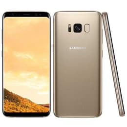 Galaxy S8 64GB - Oro