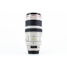 Canon Obiettivi 100-400mm f/4.5-5.6 L IS USM EF 100-400mm f/4.5-5.6