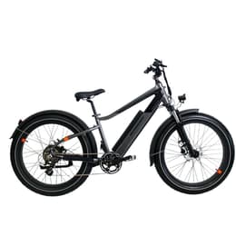 Rad Power Bikes RadRhino 6 Plus Bici elettriche