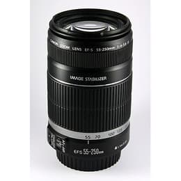 Canon Obiettivi EF-S 55-250MM F/4-5.6 IS EF-S 55-250mm f/4-5.6 IS