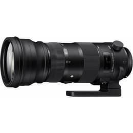Sigma Obiettivi 150-600 mm F5-6.3 DG OS HSM S SPORTS CANON EF 150-600mm 5