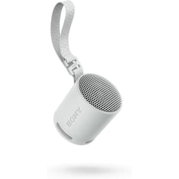 Altoparlanti Bluetooth Sony SRS-XB100 - Grigio