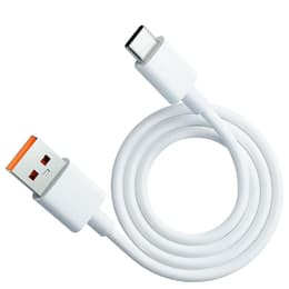 Cavo (USB) 100W - Evetane