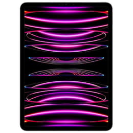 iPad Pro 11" (2022) 4a generazione 1000 GB - WiFi - Grigio Siderale